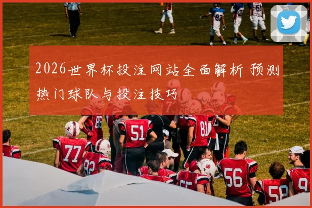 2026世界杯投注网站全面解析 预测热门球队与投注技巧