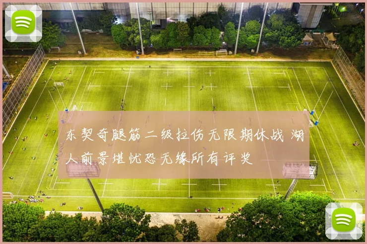 东契奇腿筋二级拉伤无限期休战 湖人前景堪忧恐无缘所有评奖