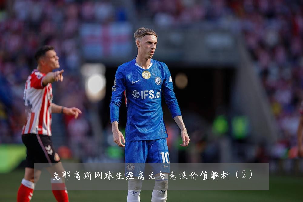 克耶高斯网球生涯高光与竞技价值解析(2)
